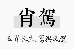 肖驾名字的寓意及含义