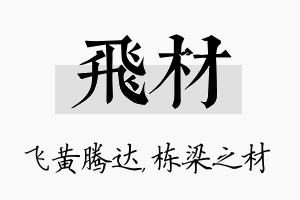 飞材名字的寓意及含义