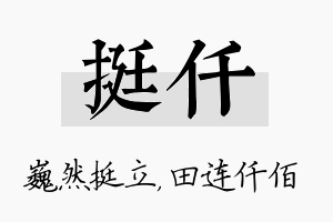 挺仟名字的寓意及含义