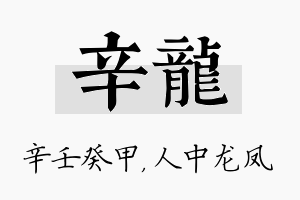 辛龙名字的寓意及含义