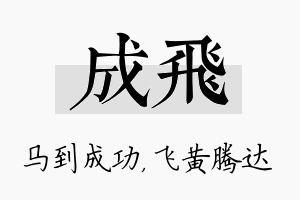 成飞名字的寓意及含义