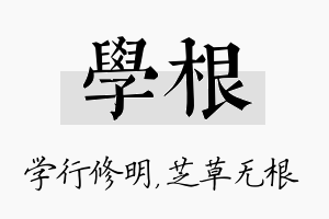 学根名字的寓意及含义