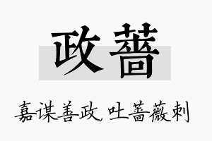 政蔷名字的寓意及含义