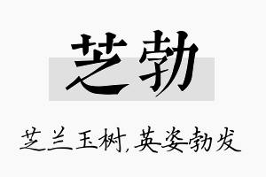 芝勃名字的寓意及含义