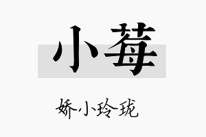 小莓名字的寓意及含义