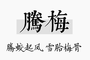 腾梅名字的寓意及含义