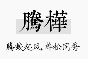 腾桦名字的寓意及含义