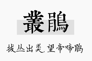 丛鹃名字的寓意及含义