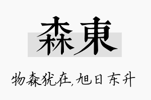 森东名字的寓意及含义