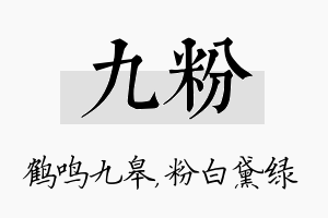 九粉名字的寓意及含义