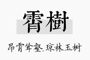 霄树名字的寓意及含义