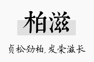 柏滋名字的寓意及含义