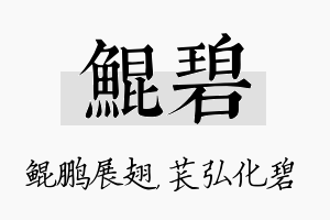 鲲碧名字的寓意及含义