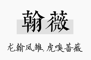 翰薇名字的寓意及含义