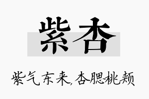 紫杏名字的寓意及含义