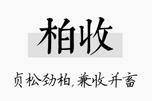 柏收名字的寓意及含义