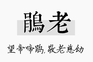 鹃老名字的寓意及含义