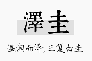 泽圭名字的寓意及含义