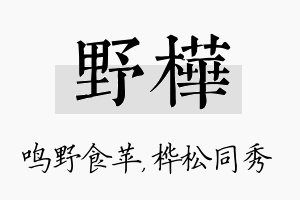 野桦名字的寓意及含义