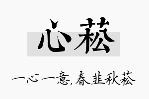 心菘名字的寓意及含义