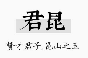 君昆名字的寓意及含义