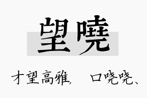 望哓名字的寓意及含义