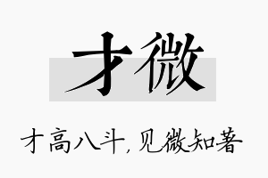 才微名字的寓意及含义