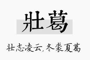 壮葛名字的寓意及含义