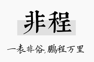 非程名字的寓意及含义