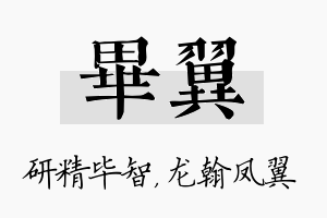 毕翼名字的寓意及含义