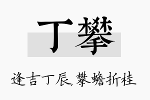 丁攀名字的寓意及含义