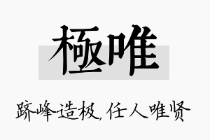 极唯名字的寓意及含义