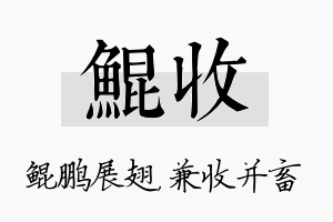 鲲收名字的寓意及含义