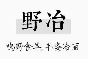 野冶名字的寓意及含义