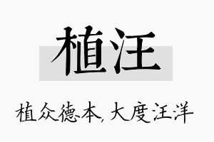 植汪名字的寓意及含义