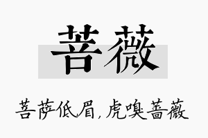 菩薇名字的寓意及含义