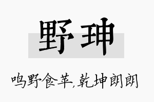 野珅名字的寓意及含义