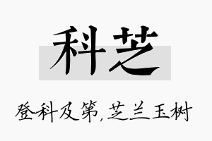 科芝名字的寓意及含义