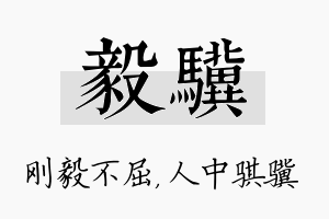 毅骥名字的寓意及含义