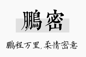 鹏密名字的寓意及含义