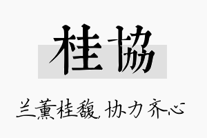 桂协名字的寓意及含义