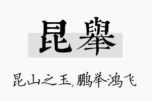 昆举名字的寓意及含义