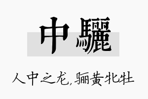 中骊名字的寓意及含义