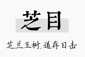 芝目名字的寓意及含义