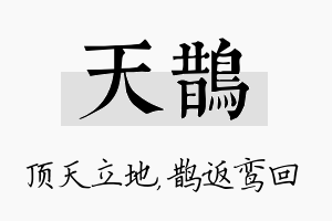 天鹊名字的寓意及含义