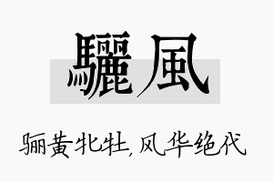 骊风名字的寓意及含义