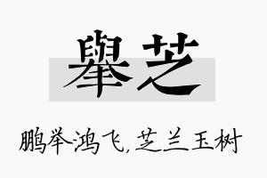 举芝名字的寓意及含义