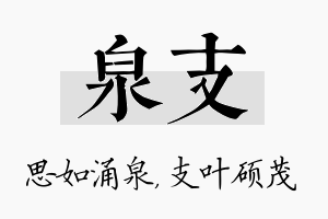 泉支名字的寓意及含义