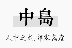 中岛名字的寓意及含义