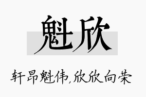 魁欣名字的寓意及含义